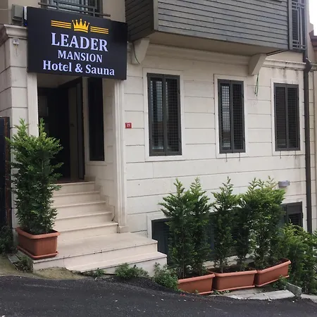 Hotel Leader Mansion Hotel&suite