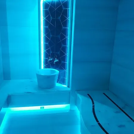 酒店 Leader Mansion Hotel&suite 伊斯坦布尔