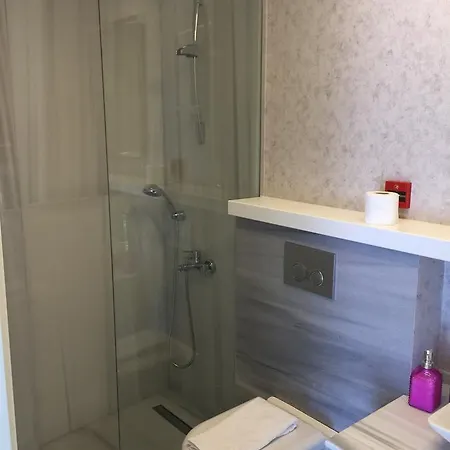 酒店 Leader Mansion Hotel&suite