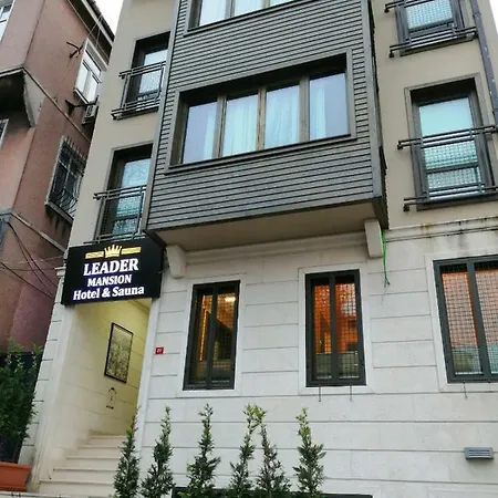 Leader Mansion Hotel&suite 2* 伊斯坦布尔