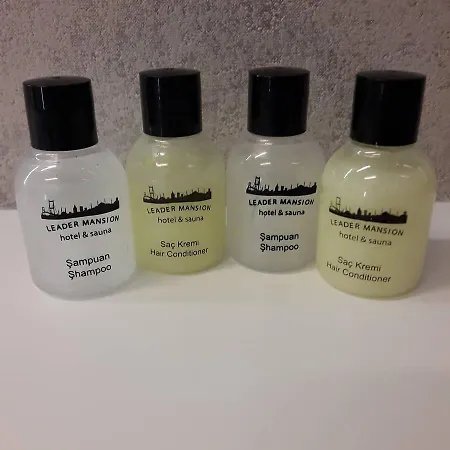 Hotel Leader Mansion Hotel&suite 2*