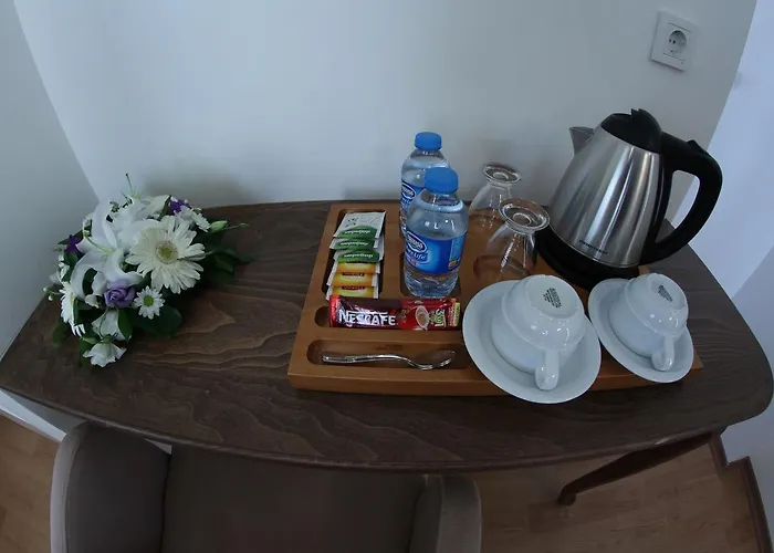 Leader Mansion Hotel&suite Hotel