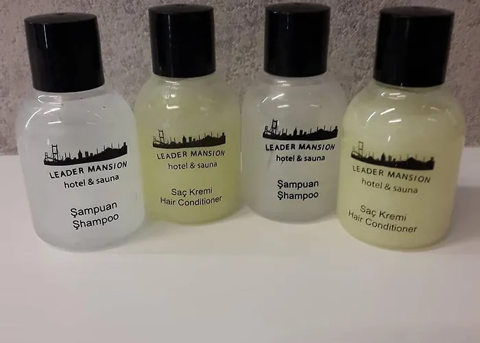 Hotel Leader Mansion Hotel&suite 2*